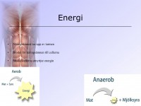 /album/energi/a6-musklerna-016-jpeg1/